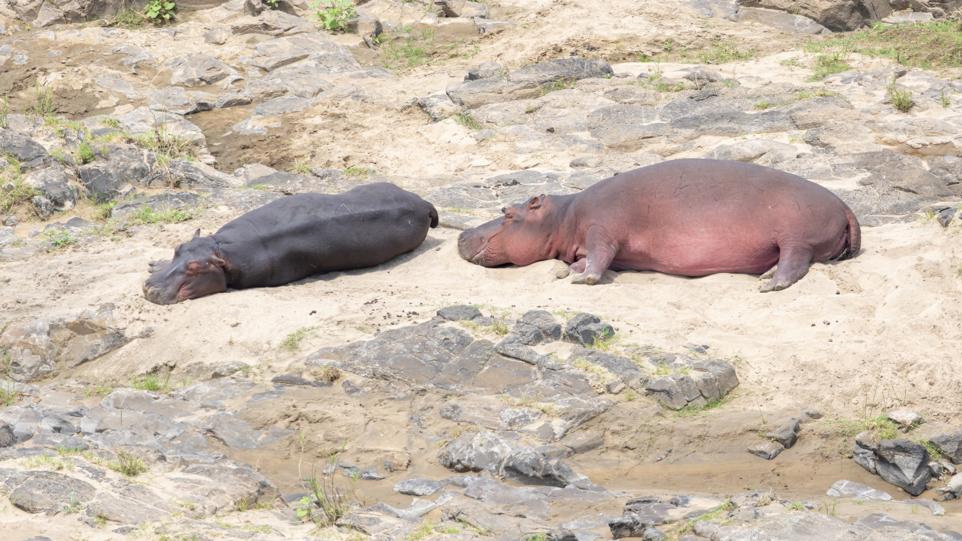 Kruger25 2025 11 04 09 59 56 ILCE 1M2 1650